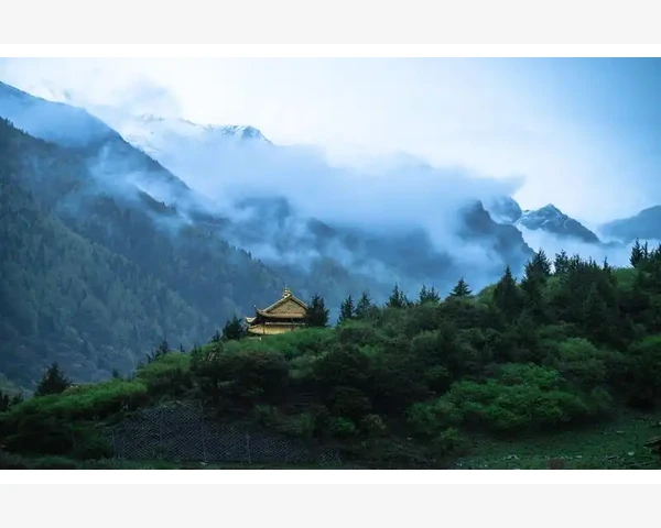 辣椒，辛辣调味品背后的中医秘籍